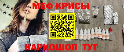 сатива Кингисепп