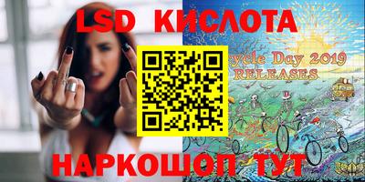 сатива Кингисепп