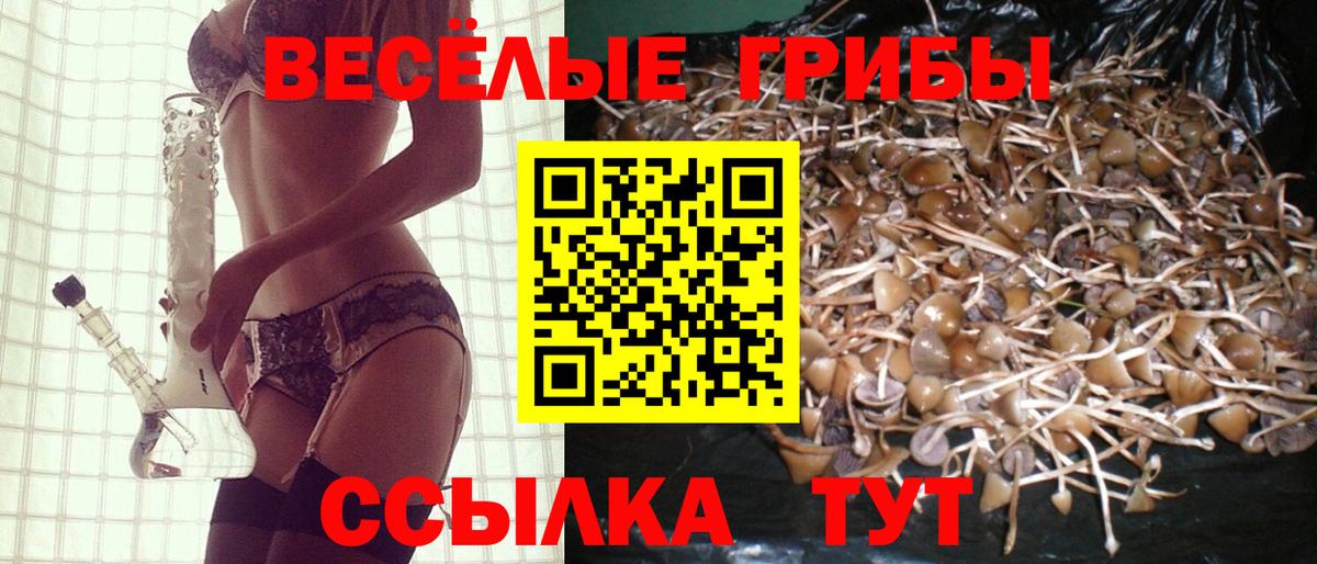 Псилоцибиновые грибы GOLDEN TEACHER Котлас